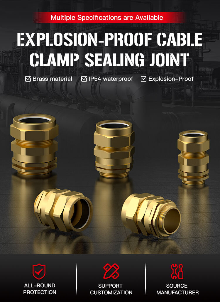 防爆电缆夹紧密封接头(Explosion-Proof-Cable-Clamp-Sealing-Joint)-CW_03.jpg