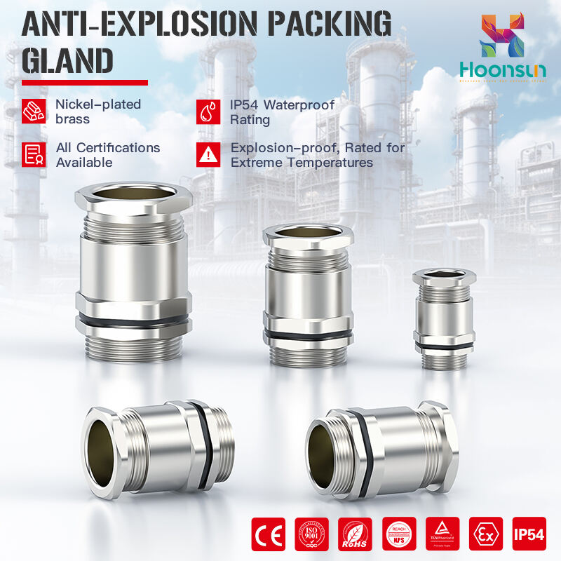 Anti - Explosion Packing Gland