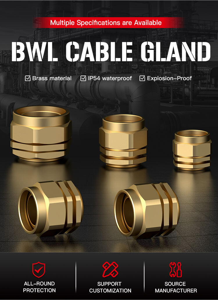 BWL铠装电缆接头(BWL-Cable-Gland)_03.jpg