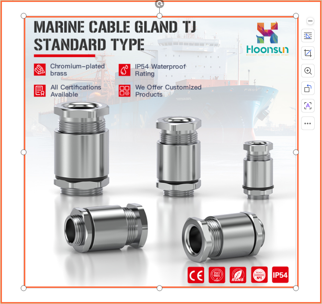 Company Profile: Professional Technology and Certifications