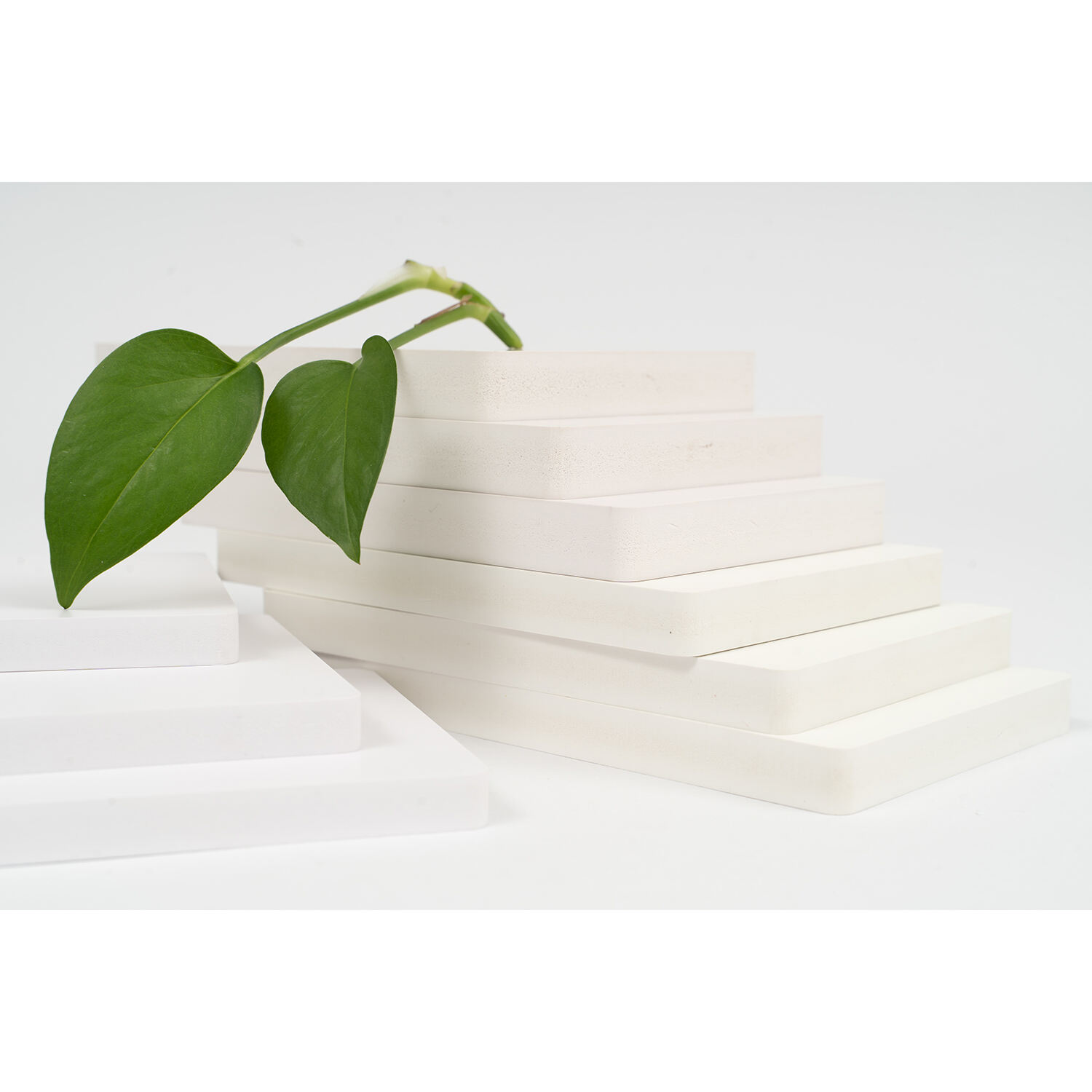 Վերսատիլ  procession և կիրառման առանցքայինություն