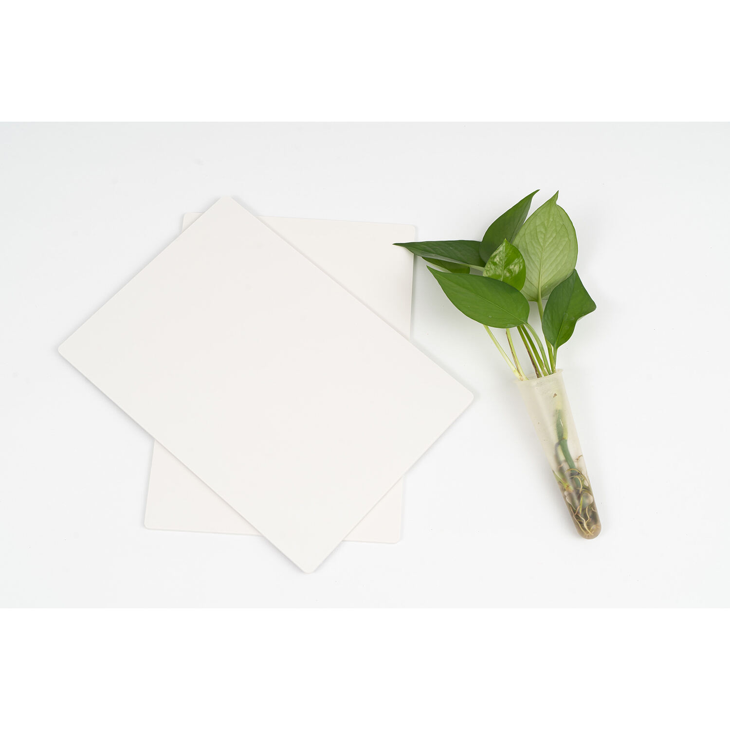 Բարձրացված ջերմական և ձայնային արդյունավետություն