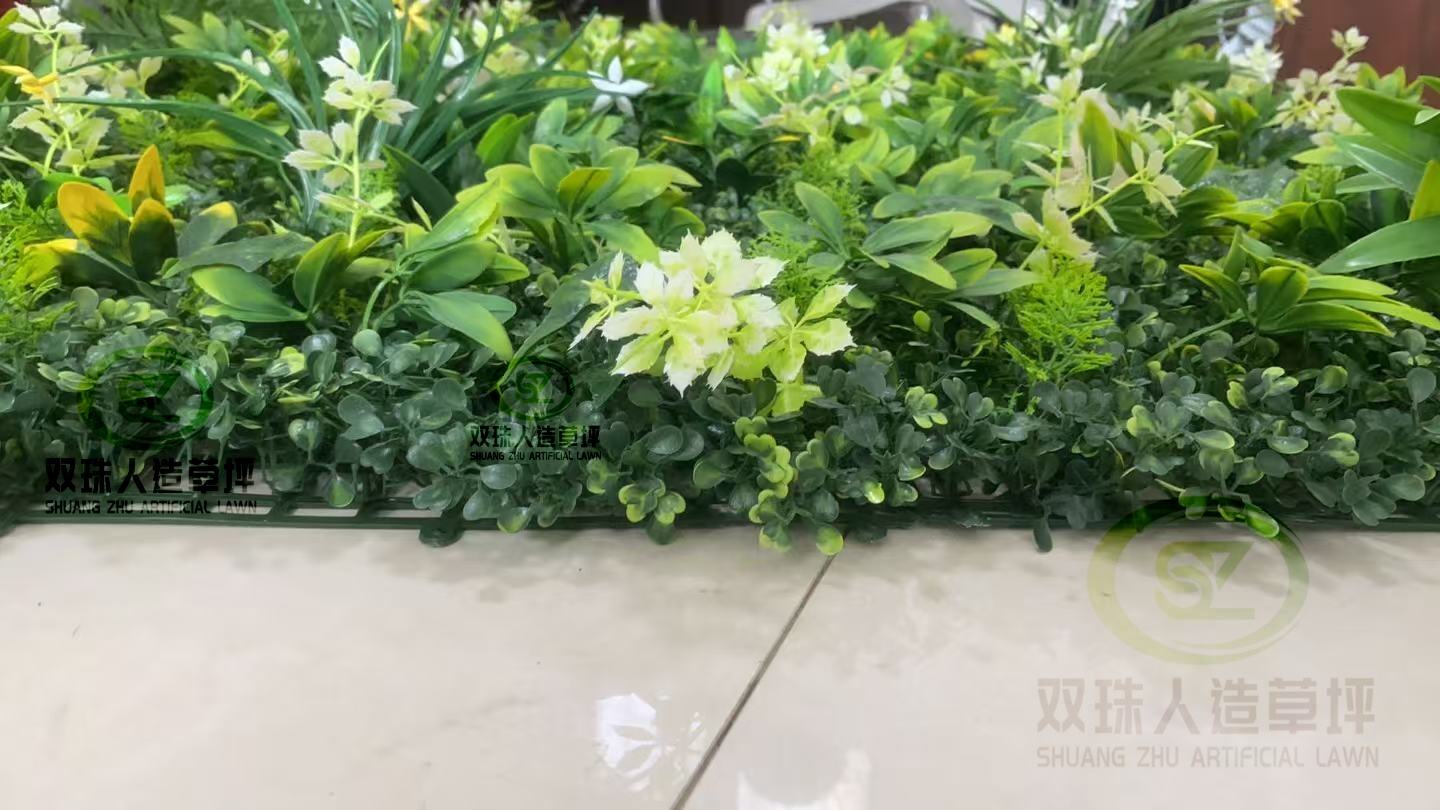 植物4_副本.jpg