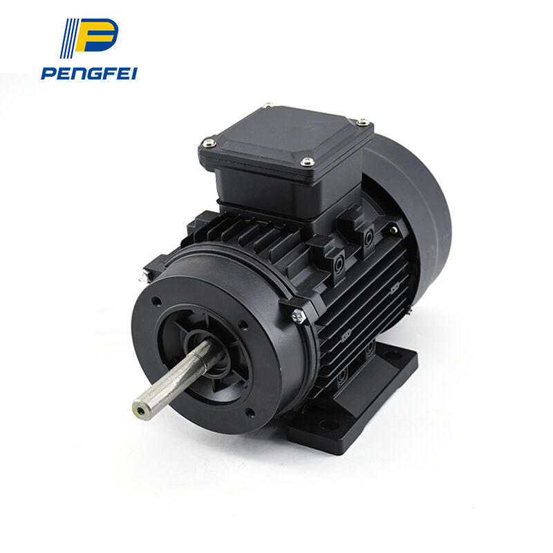 Customizable AC Motor from Pengfei: Fast Delivery & Global Compliance