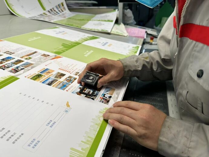 रंग सुगमता