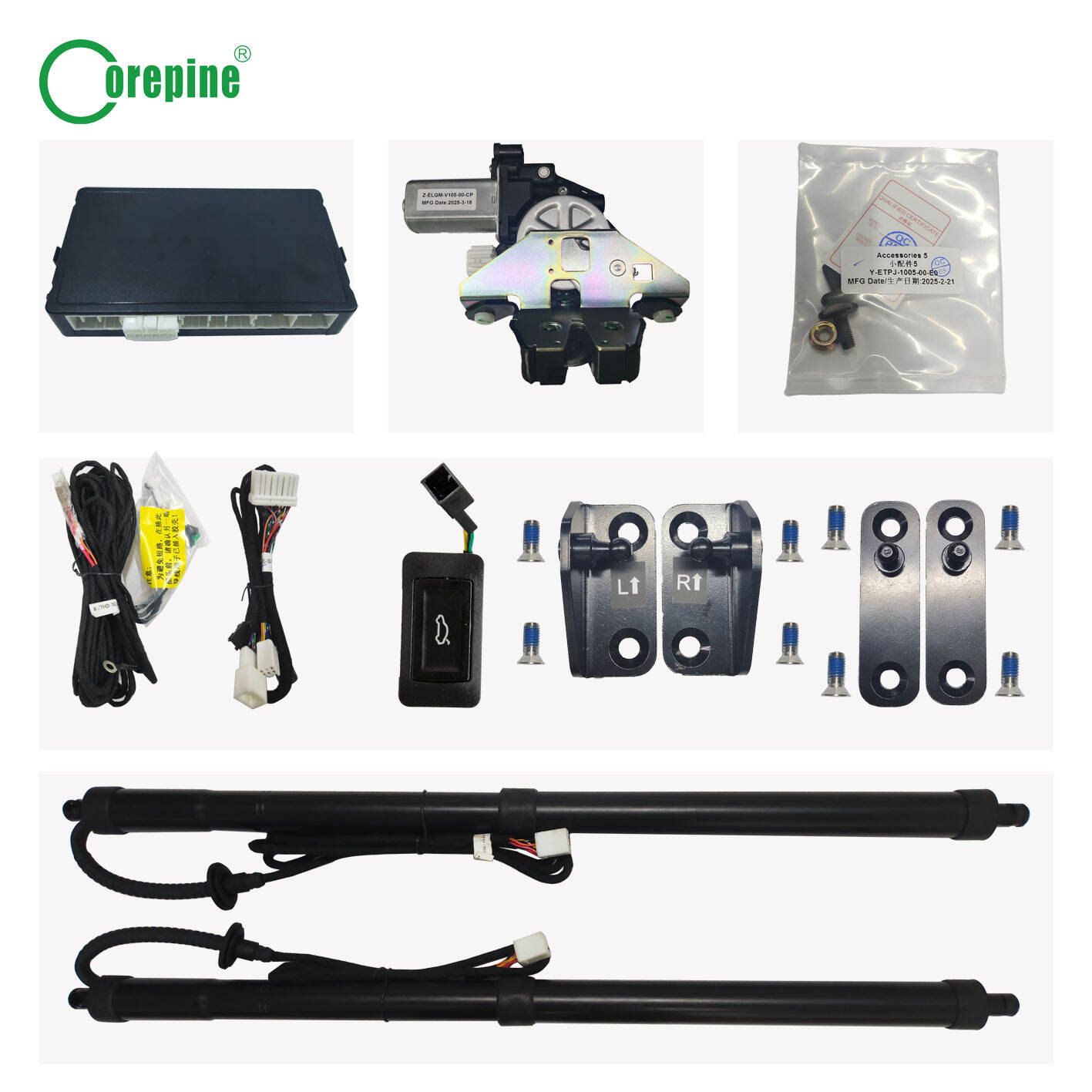 Leading Power Liftgate Exporter for Global Markets
