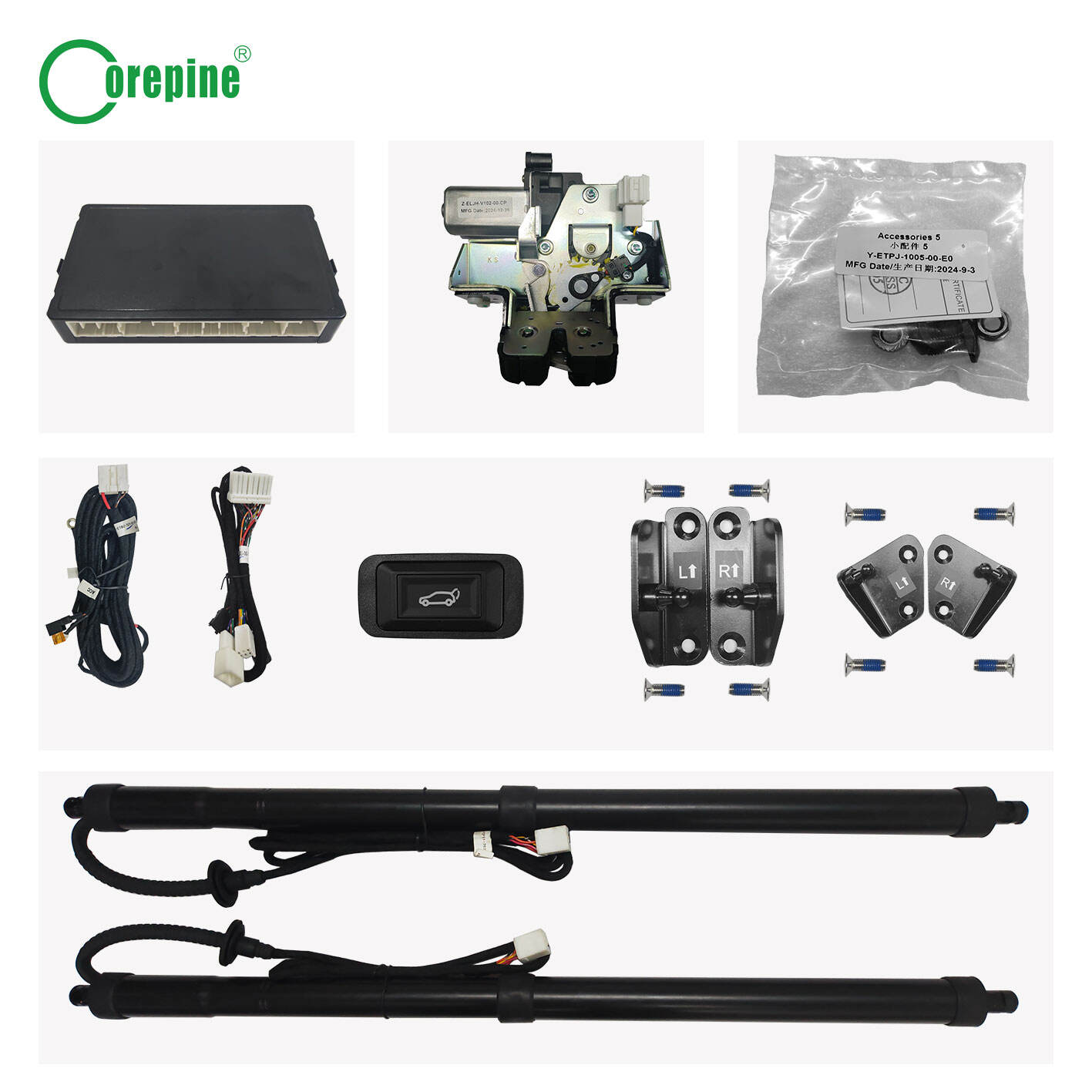 електрична кришка багажника 2024 Kia Carnival