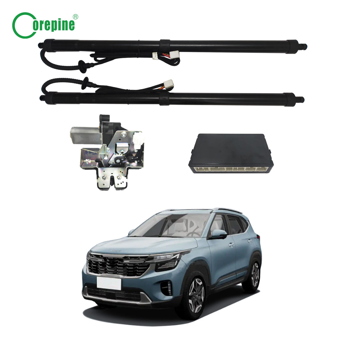 2022-2024 Kia Seltos