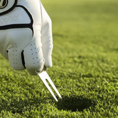 Ball Markers with Divot Tools.jpg