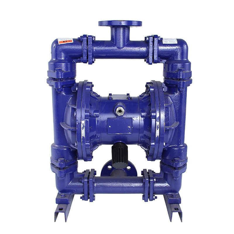 2025 Guide: Choosing the Best Pneumatic Diaphragm Pump