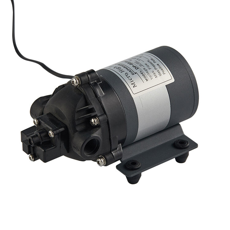 12V 24V DC Mini DP-60 Brushless Electric Booster High Pressure Diaphragm Pump for Laser Hair Removal Machine Mist Spraying Pump