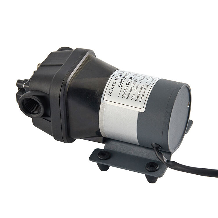 New Arrival DP-35 BLDC 12V/24V Brushless DC Miniature Vacuum Diaphragm Water Pump 35Psi 12L/min Mini Micro Pump