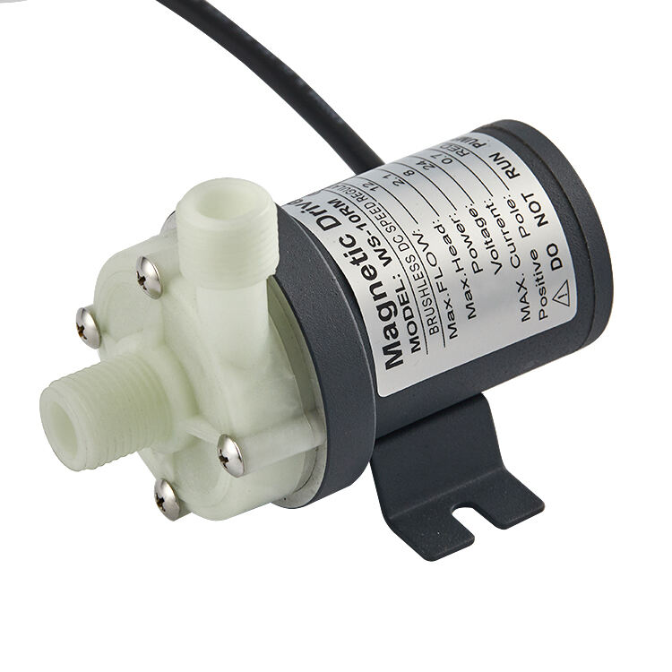 BLDC 12V 24V Mirco Magnetic Pump New Arrive WS-10Rm 12L/min Chemical Pump Aggressive Resistance Solvent Circulation Pump