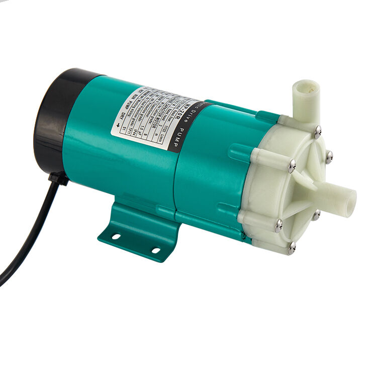 Comprehensive Testing and Quality Assurance