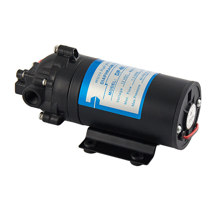 Mini DP-60 12V 24V DC Diaphragm Pump with Pressure Switch High Pressure Micro Water Booster for Machining Applications