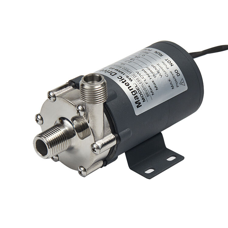 Micro Stainless Steel WS-15RM Homebrew Brew Beer Pump Food Grade Brushless 12V/24V Magnetic DC for Machining