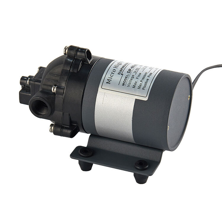DP-60 BLDC 12V 24V DC Brushless Silent Micro High Pressure Diaphragm Booster Pump (Variable Speed Control Optional)