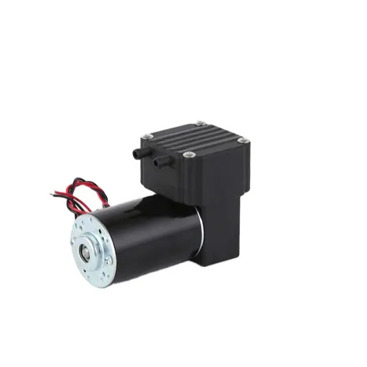 Micro Air Diaphragm Vacuum Pump 12v 24v 220v Low Noise Electric Power Source for Medical Beauty Equipment