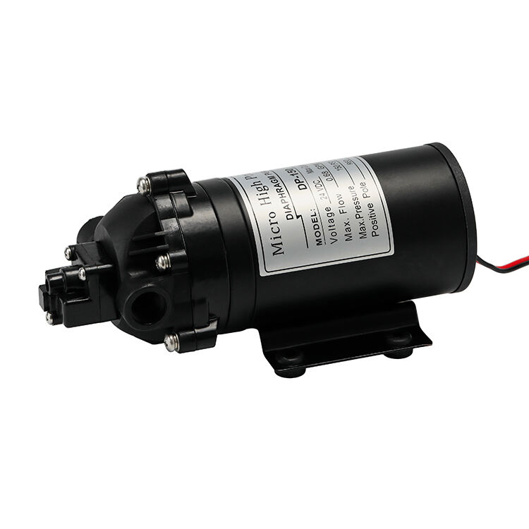 DP-150 12v 5.3L/min 150 psi High Flow Booster Pump Clean Water Pump Small Size High Pressure Water Pumps with Pressure Switch