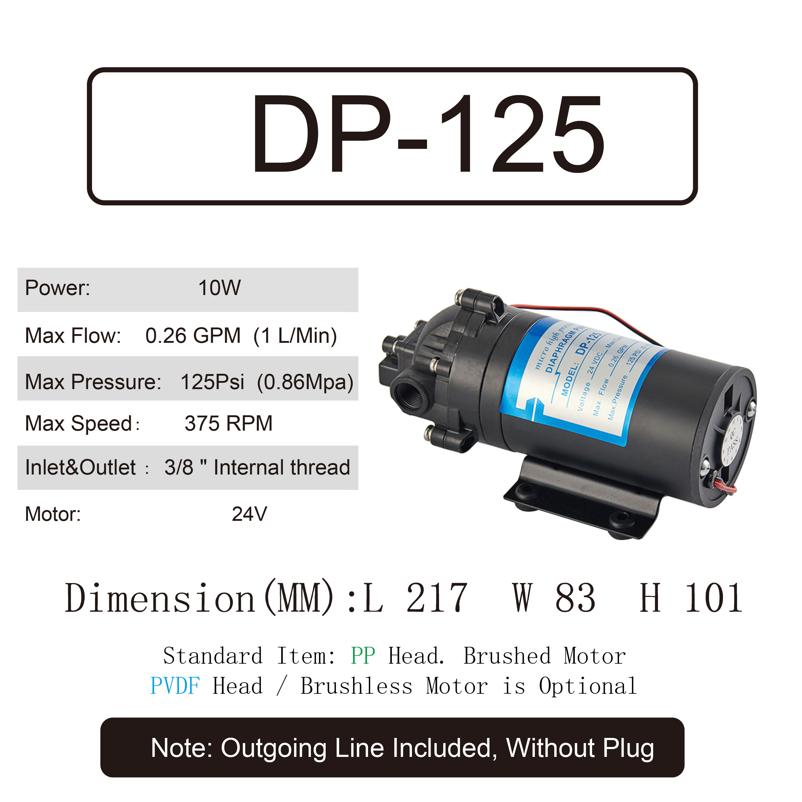 dp-125-01.jpg