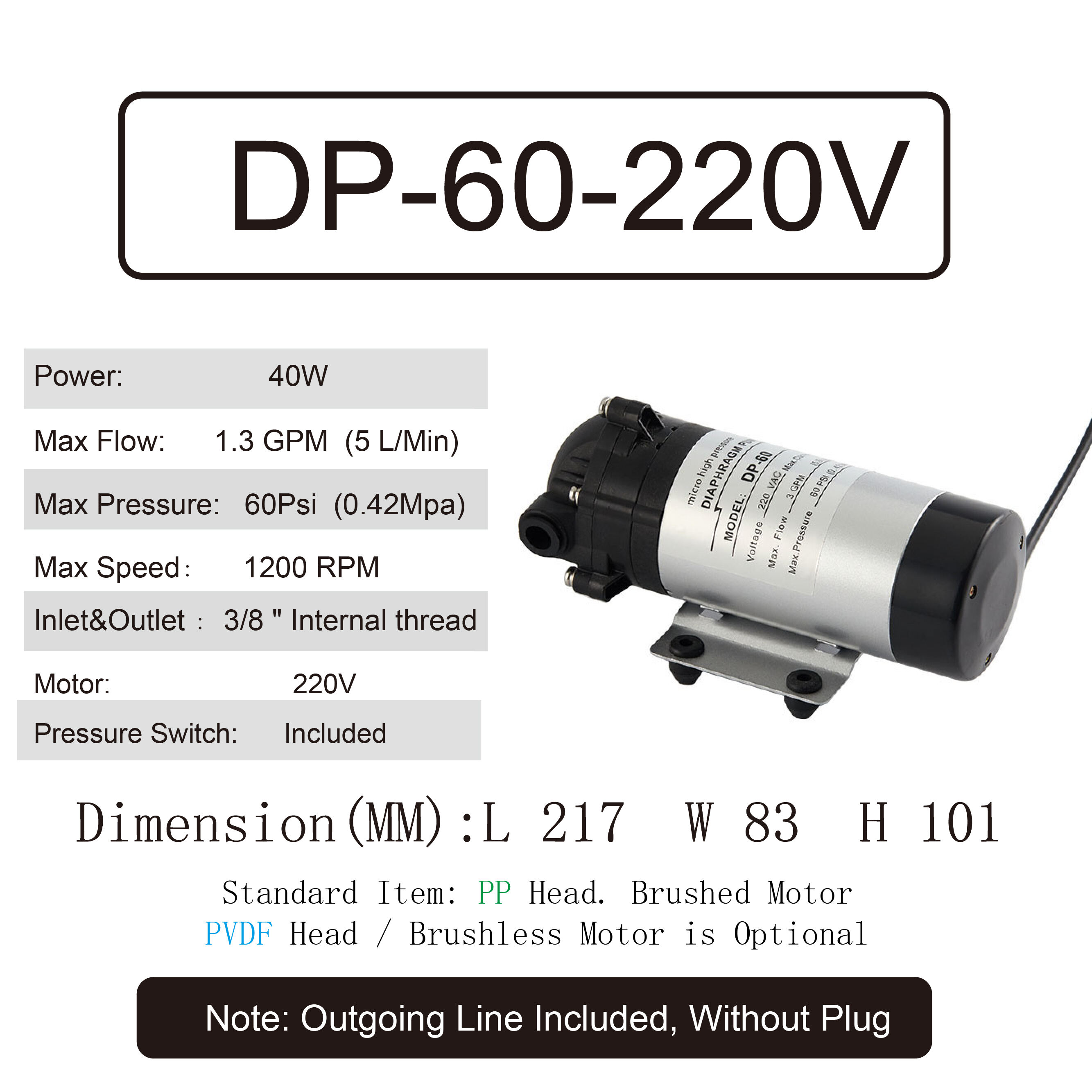 DP-60-220-01.jpg