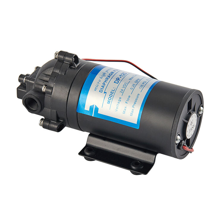 DP-125 125PSI 1L/Min High Pressure Diaphragm Water Pump Customizable OEM Agricultural & Marine Spray Pumping Machine