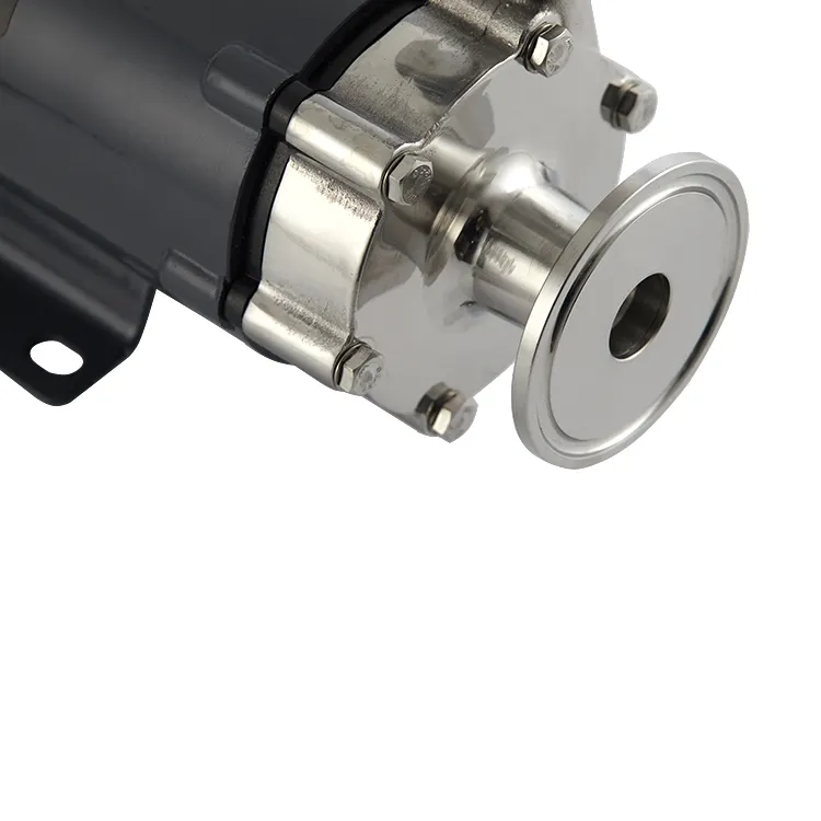 Cómo Elegir la Bomba de Mosto Perfecta para la Cerveza Artesanal en Casa