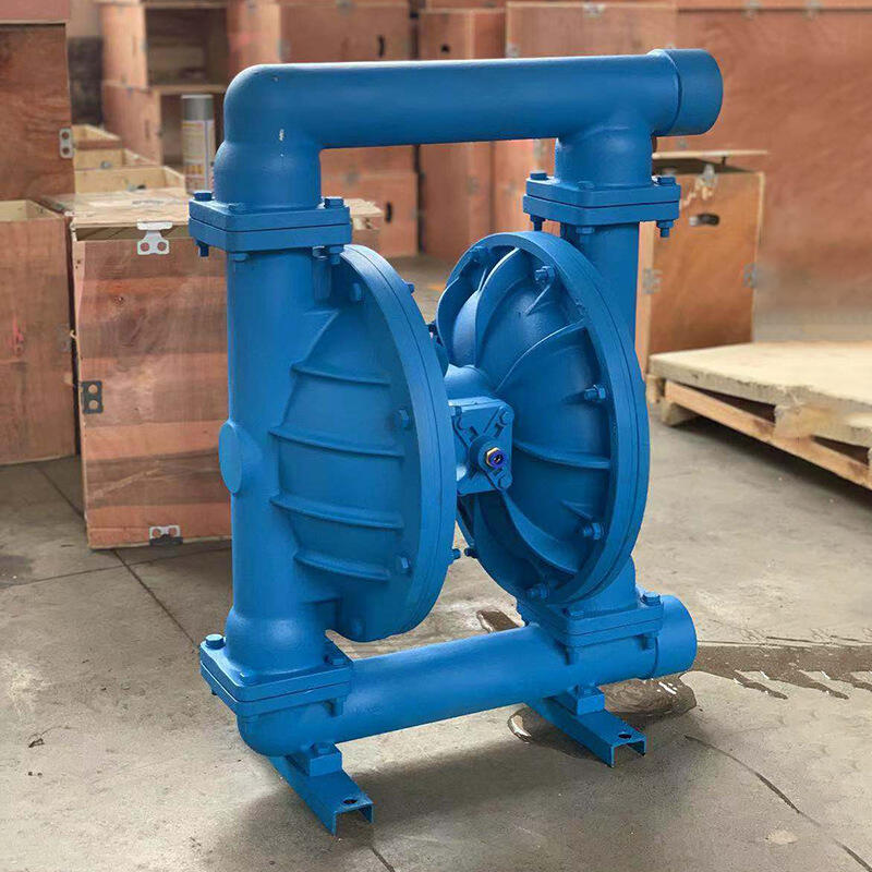 2025 Guide: Choosing the Best Pneumatic Diaphragm Pump
