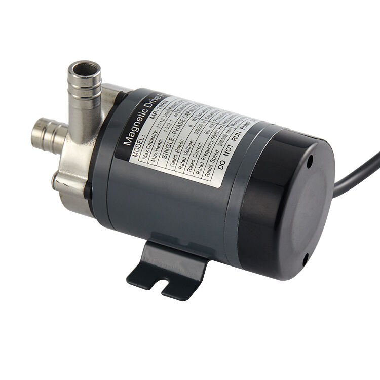 MP-10R 14mm Tube Interface 110v 220v Stainless Steel Brew Beer Pump Homebrew Brewery Food Grade Pump High Quality Manufacturer