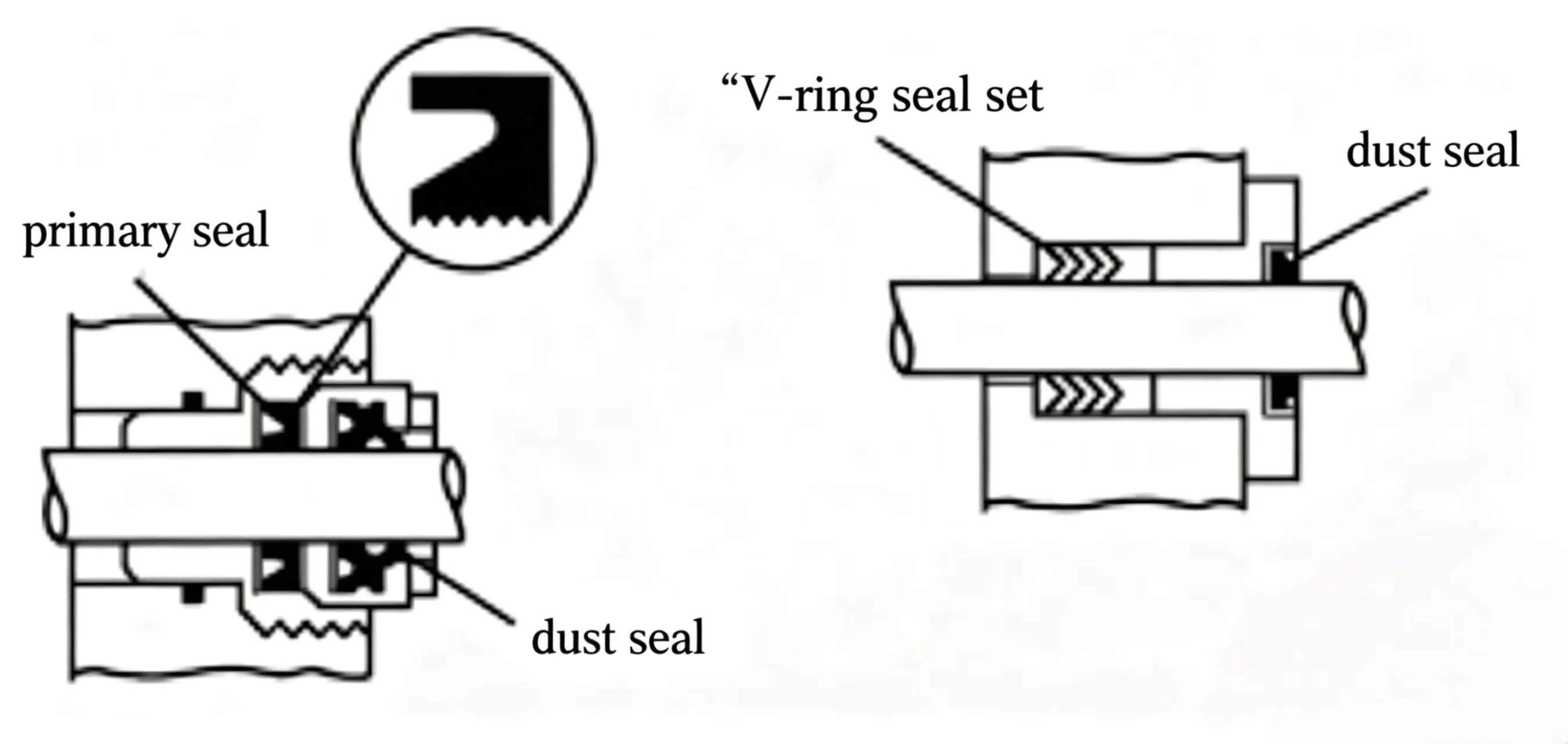 Check Valve