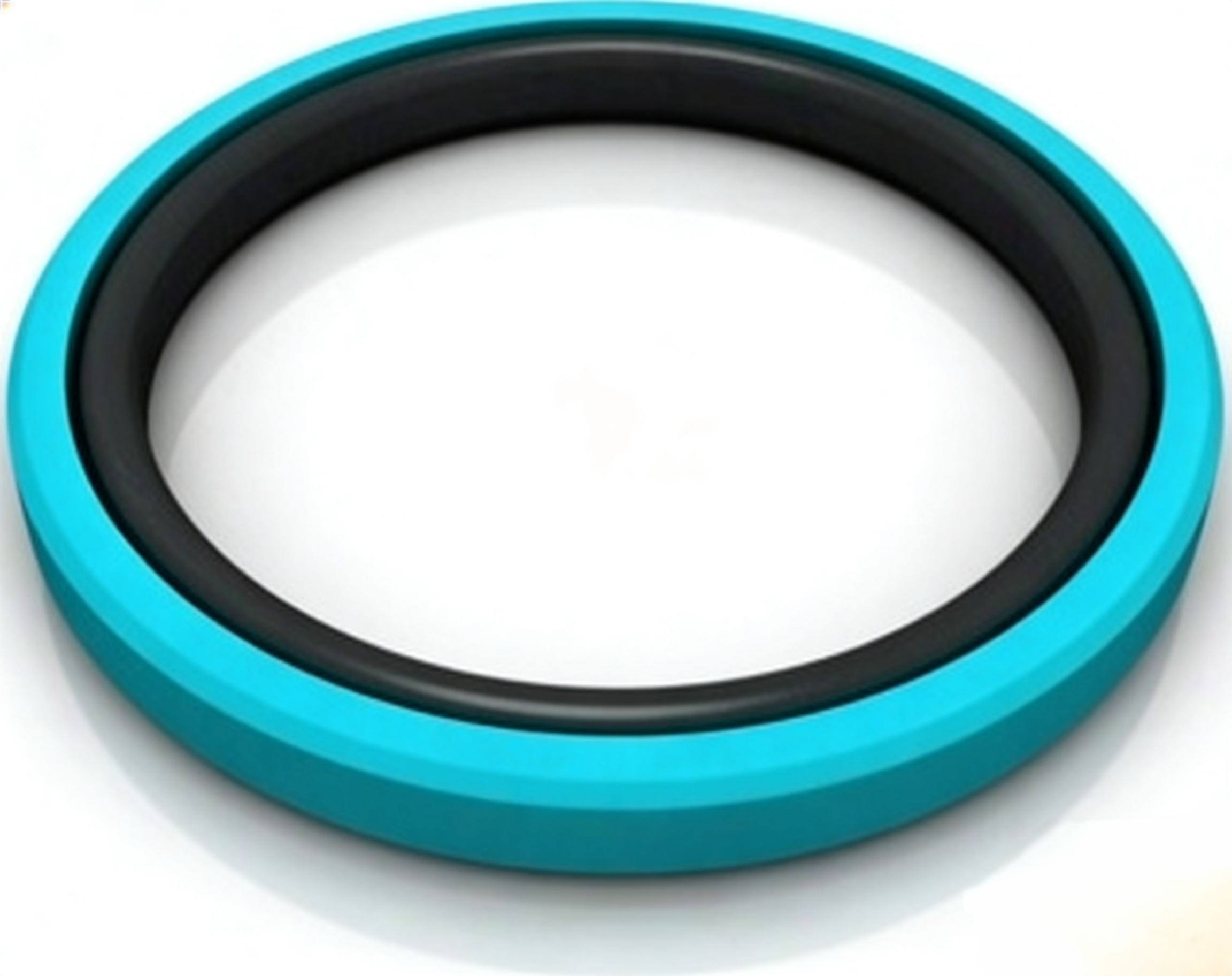 Why Do We Call These Seals Stepseal and Glyd Ring?