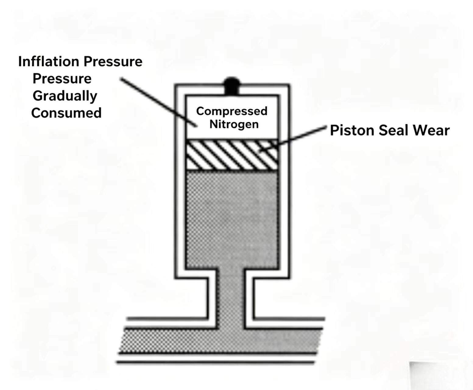 Check Valve