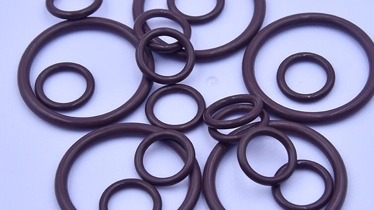 AS024 Kalrez/FKM O-Rings:High Vacuum & Coating Standards