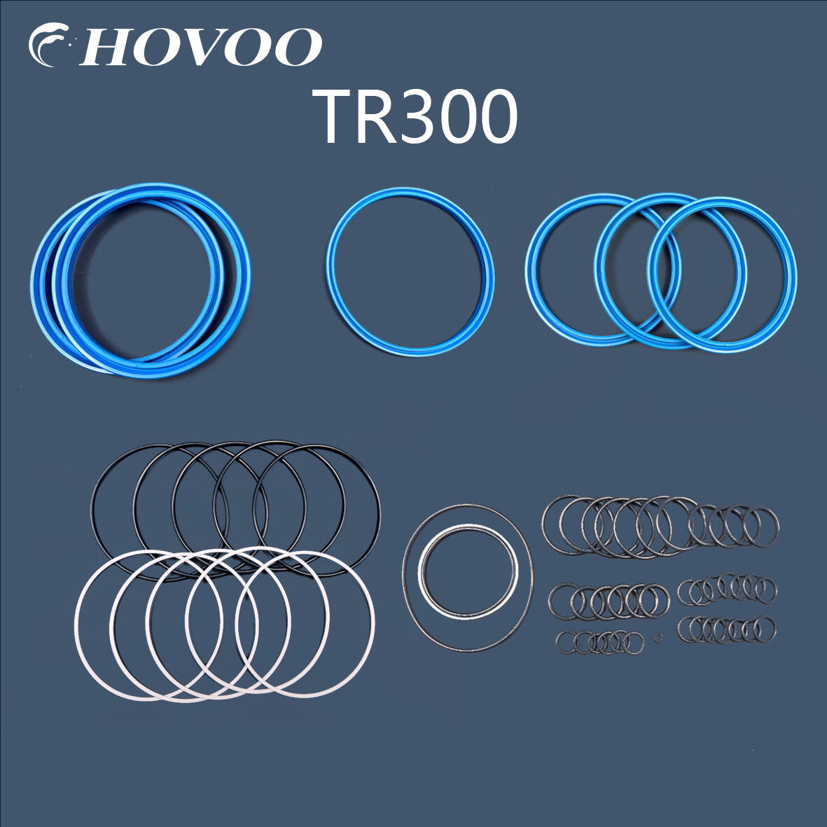TR300 Hydraulic Hammer Seal Kits