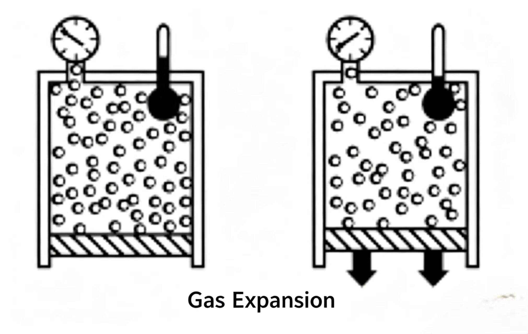 Check Valve