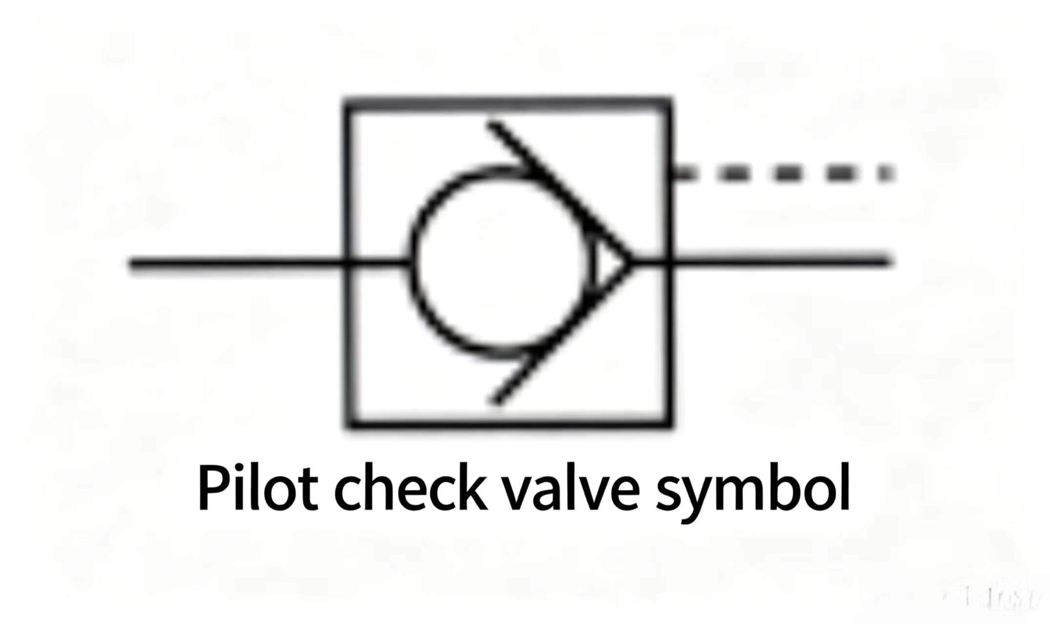 Check Valve