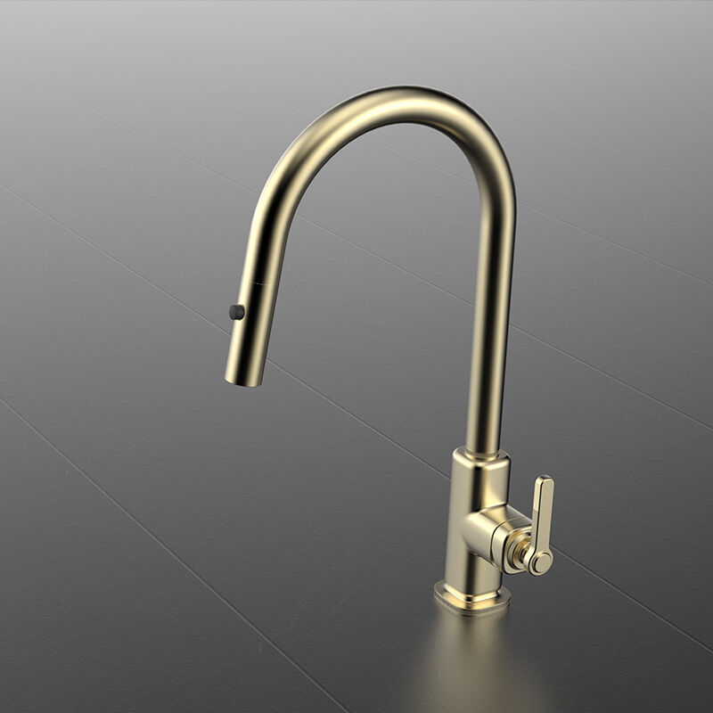 Laosi Series 1LU060201 Brass Faucet for Kitchen with Pull Out Sprayer and 360 Rotation Mixing Cold Hot Water Gold