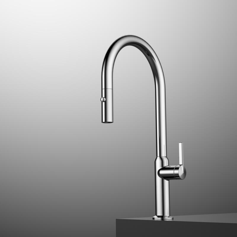 Kaidy series 1KD500300 Single Handle Brass Kitchen Faucet with Pull Down Sprayer for Easy 360 Rotation and Mixing Black