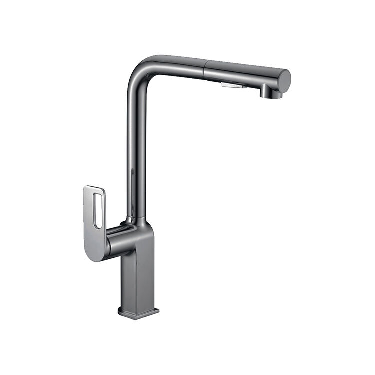 Zorn series 1LN080202 Single Handle Brass Kitchen Faucet with Pull Down Sprayer for Easy 360 Rotation and Mixing Black