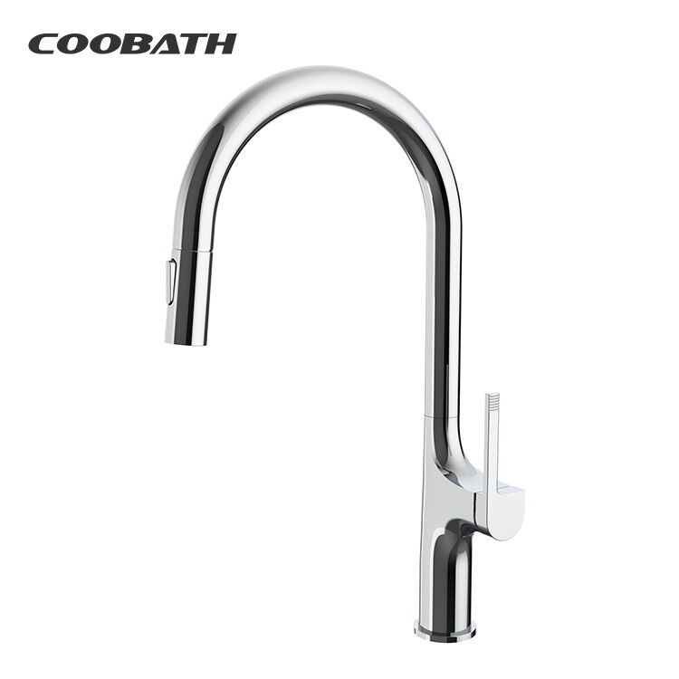 Dual-Mode Water Delivery System