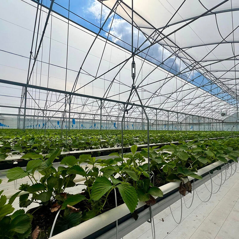 Check the Pricing of FZY's High Tunnel Greenhouses
