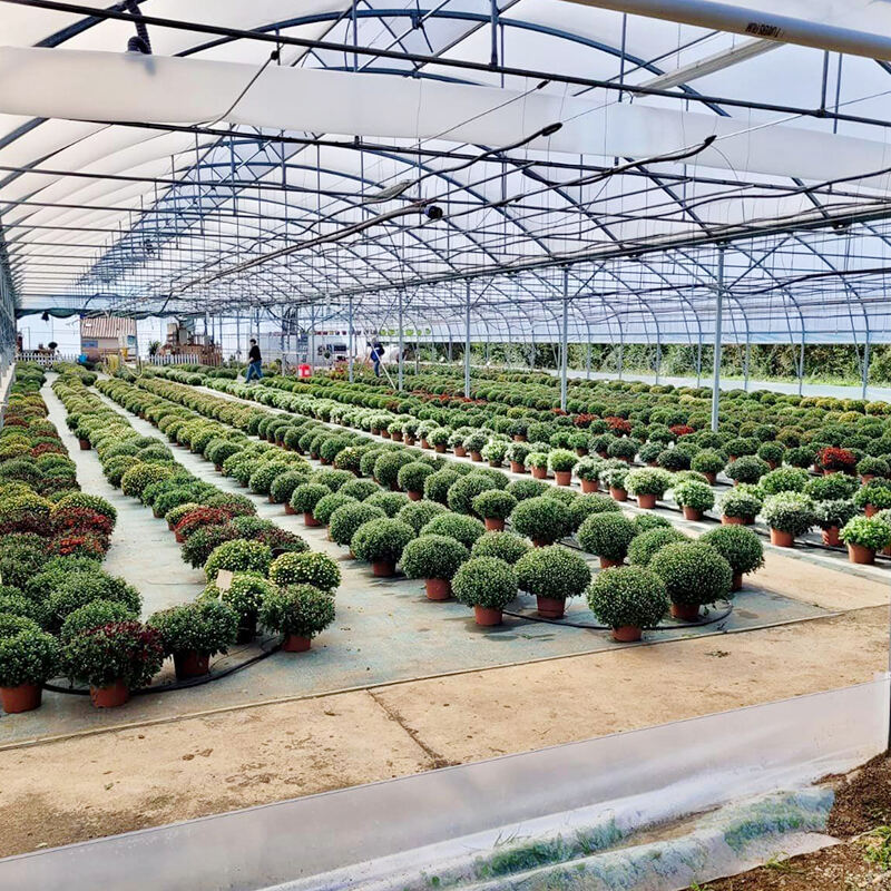 Progettazione Sostenibile di Serre