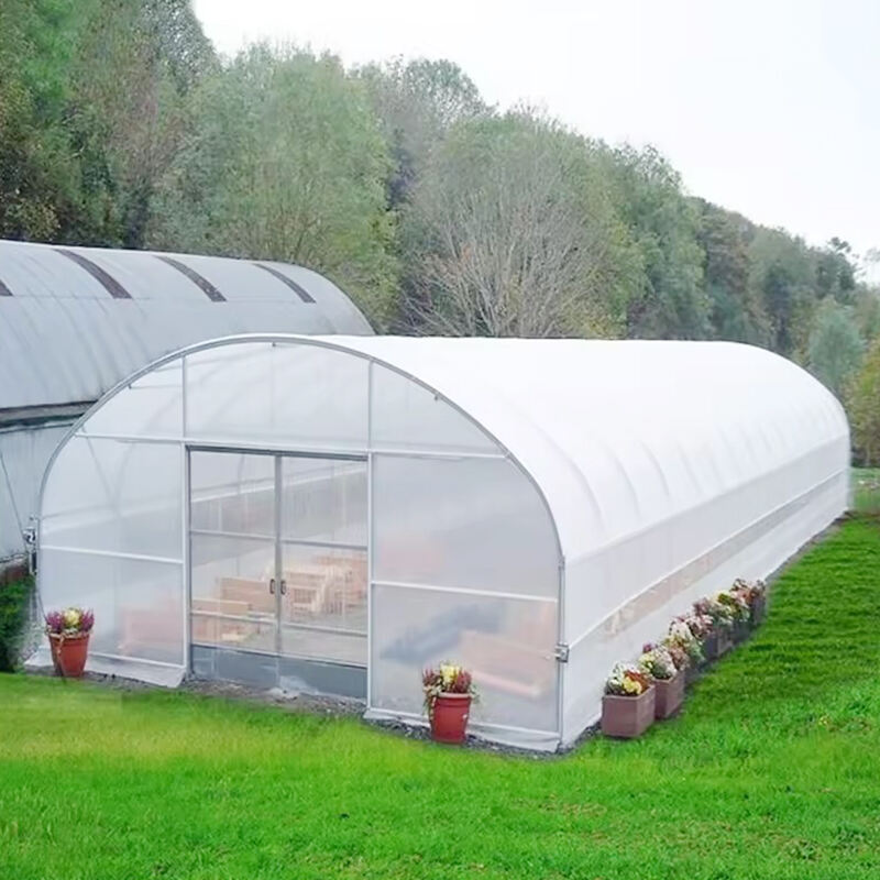 Entorno Perfecto para el Crecimiento de Plantas con Nuestros Invernaderos