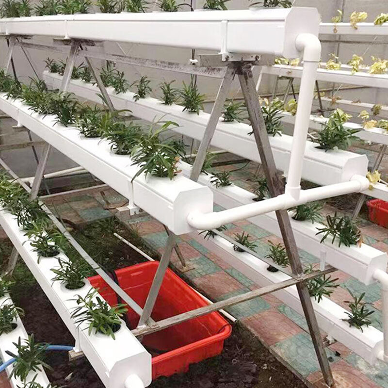 Nachhaltige Lösungen General Hydroponics für moderne Anbauer