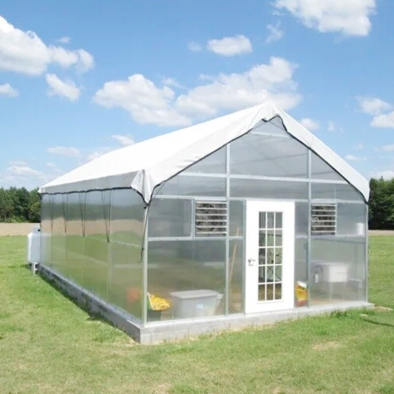 FZY Mataas na Kalidad na Mga Green House: Iba't-ibang Matibay na Solusyon para sa Lahat ng Magsasaka