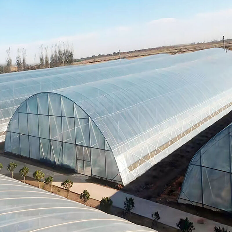 Penyelesaian Kebun Hijau Sunrise Cekap untuk Pertumbuhan Tanaman Optimal