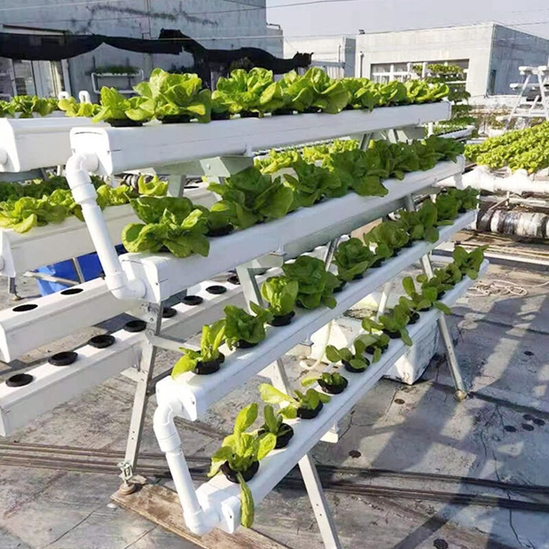 水耕栽培による花の生産量の最大化