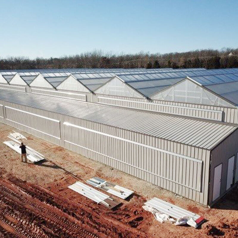 Inyong Ideal na Kasosyo sa Pagsasaka: Ipinadadaloy ng FZY Green Houses ang Mahusay na Pagganap at Kapanatagan ng Loob