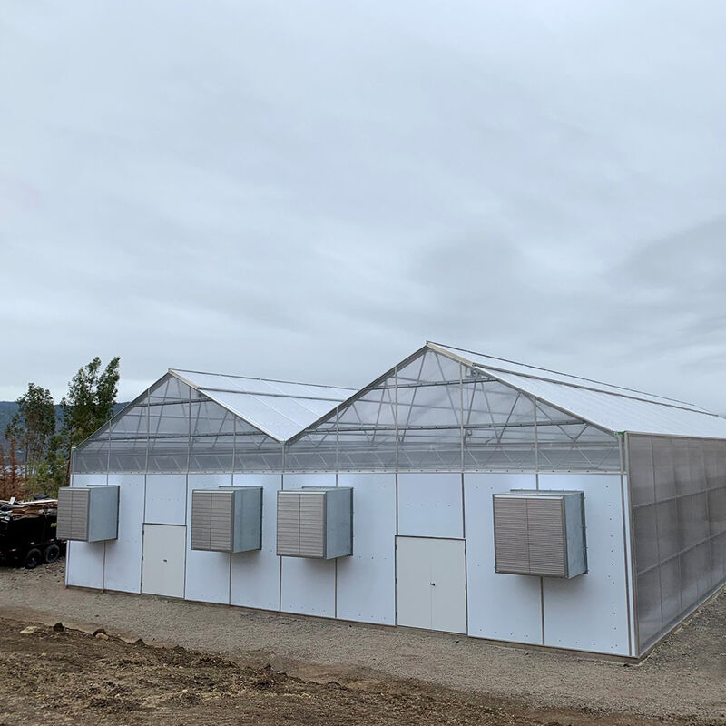FZY Multi-Span Polycarbonate Green Houses: Matibay, Mahusay para sa Modernong Pagsasaka