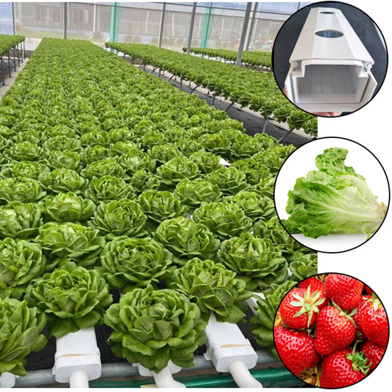 Baguhin ang Iyong Karanasan sa Pagtubo sa Pamamagitan ng Indoor General Hydroponics
